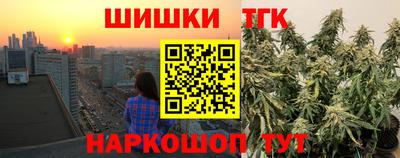 мдпв Камышлов