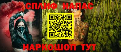мдпв Камышлов