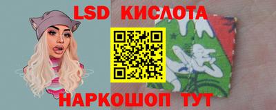 мдпв Камышлов
