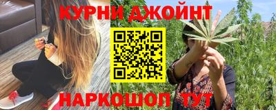 мдпв Камышлов