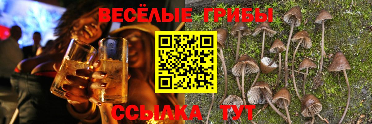 Чусовой  Псилоцибиновые грибы Psilocybe  Вход с VPN 