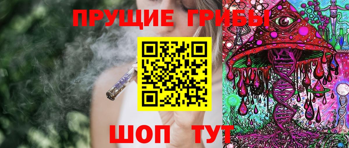Галлюциногенные грибы GOLDEN TEACHER Чусовой